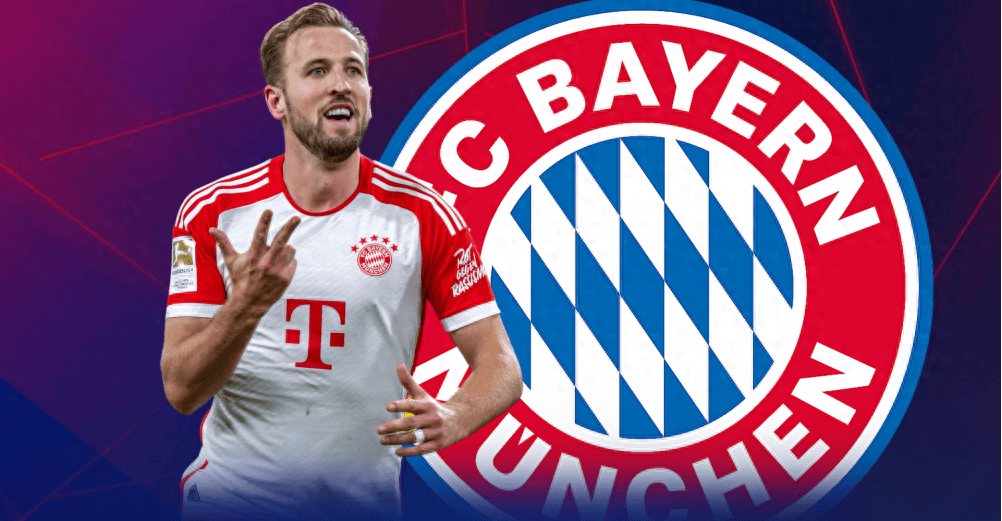 引进国际球 引进国际球